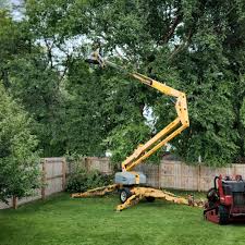 Best Arborist Consultation Services  in Franklin, OH